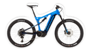 C19_C61159M_CujoNeo_1_ORG