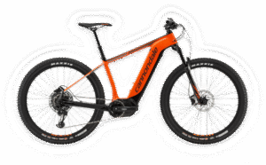 C19_C61159M_CujoNeo_1_ORG_PD-Photoroom