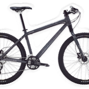 Cafféine 26 et 29' (2007-2009)