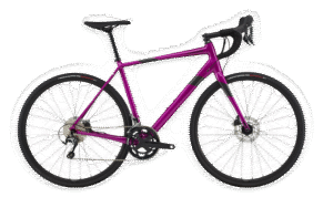 Synapse Alu 2018-2022