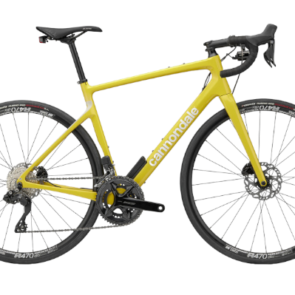 Synapse Carbon (2022-2024)