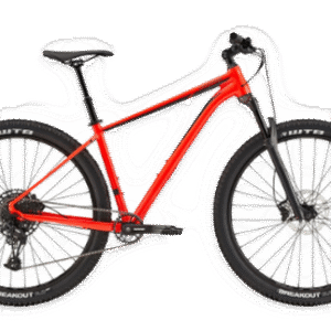 Trail 29 (2015-2021)