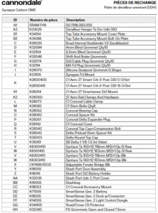 Synapse Carbon 2025 2
