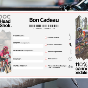 Bon cadeau Doc HeadShok - 110% Cannondale